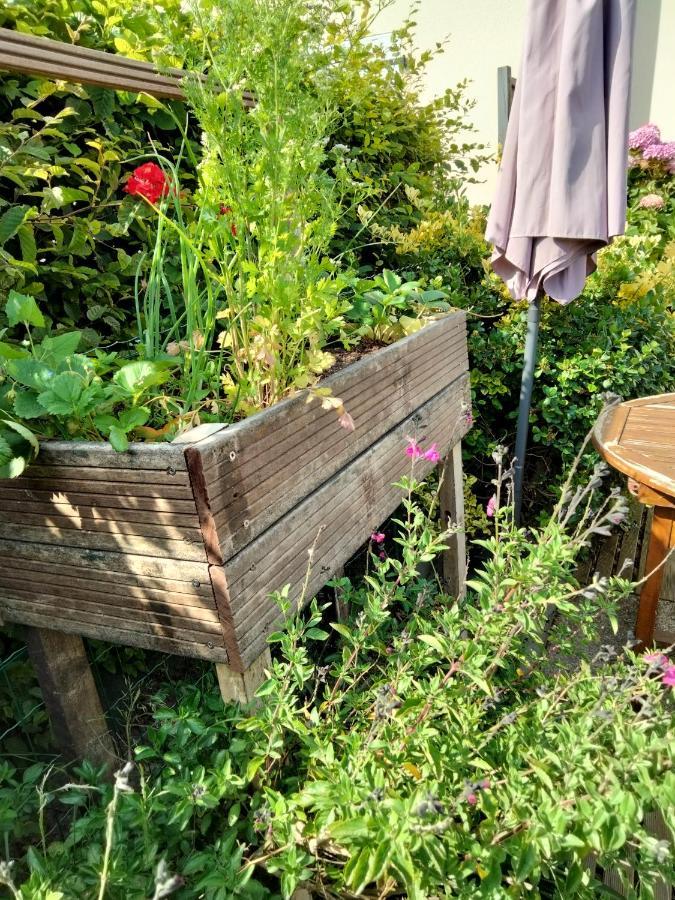 Mer A Pied Vrai Lit Linge Fourni Jardin Bretignolles-sur-Mer Exterior photo